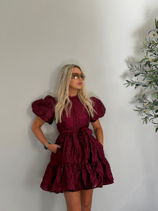 Crimson Reverie Mini Dress