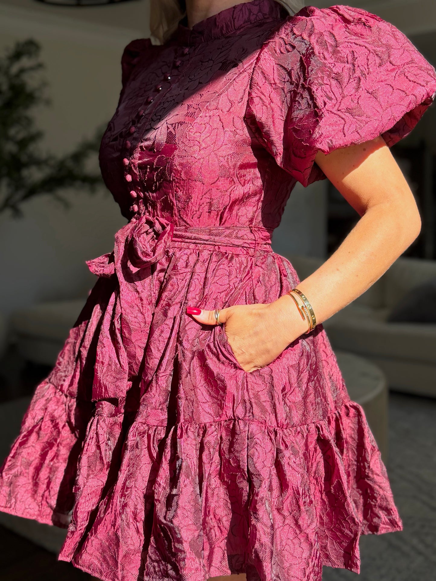 Crimson Reverie Mini Dress