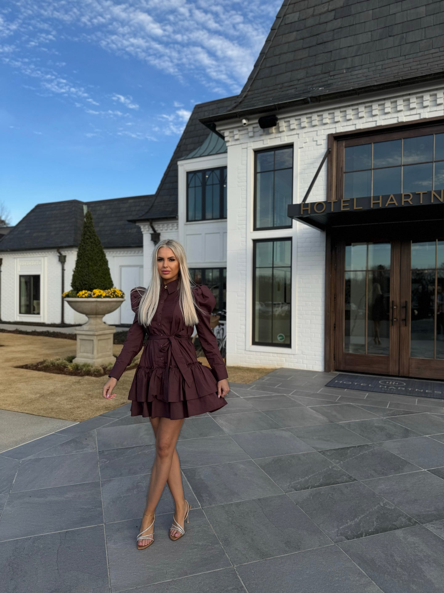 AUBERGINE RUFFLE MINI DRESS