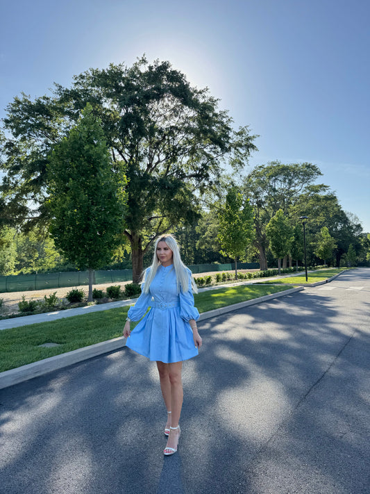 ELISE BLUE MINI DRESS